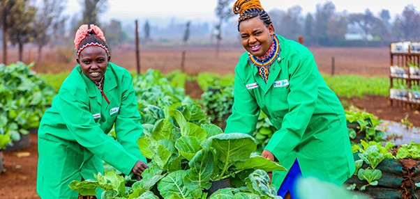 Over 700 Farmers Graduate From Safaricom Foundation’s Wezesha Agri Programme