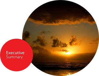 Executive Summary Overview